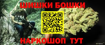 гашик Будённовск