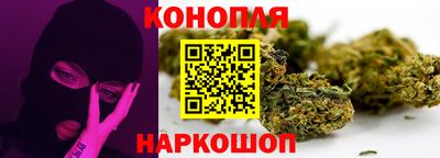 гашик Будённовск