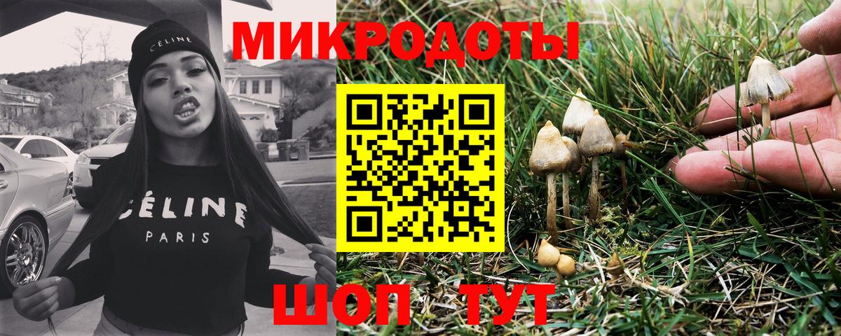 Псилоцибиновые грибы ЛСД Шатура